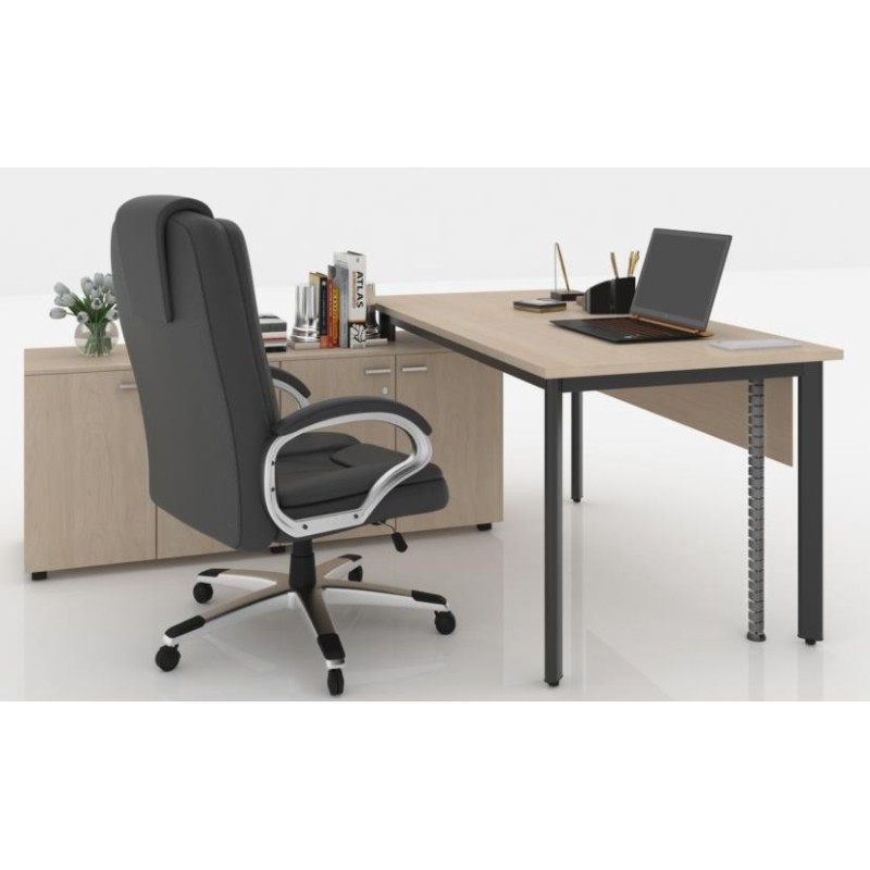 Working Desk BLD24 | High Functionality & Style