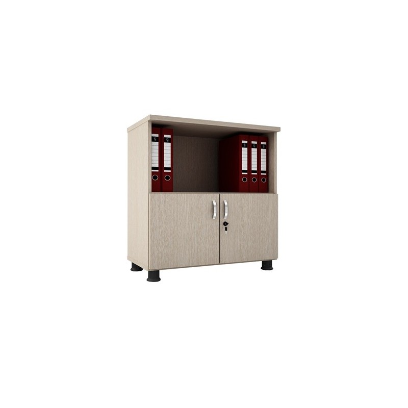 Space-Saving Low Cabinet SM6120 | Modern Office Storage