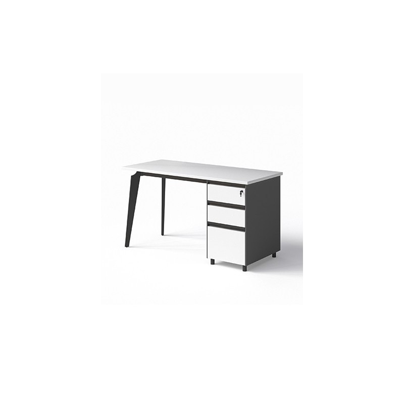 Working Desk 1910B14H5 | Spacious & Productive Working Desk 1910B14H5 | Spacious & Productive