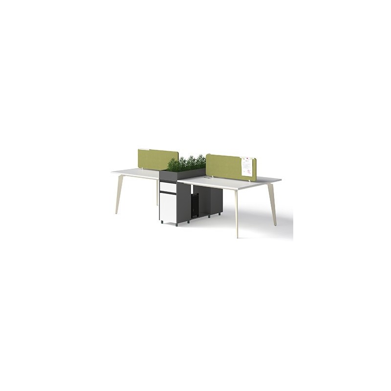 Working Desk 1910B24-2H | Ergonomic Shared Workspace