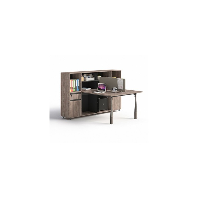 Working Desk 1912B12-2T | Dual-User Task Station Working Desk 1912B12-2T | Dual-User Task Station