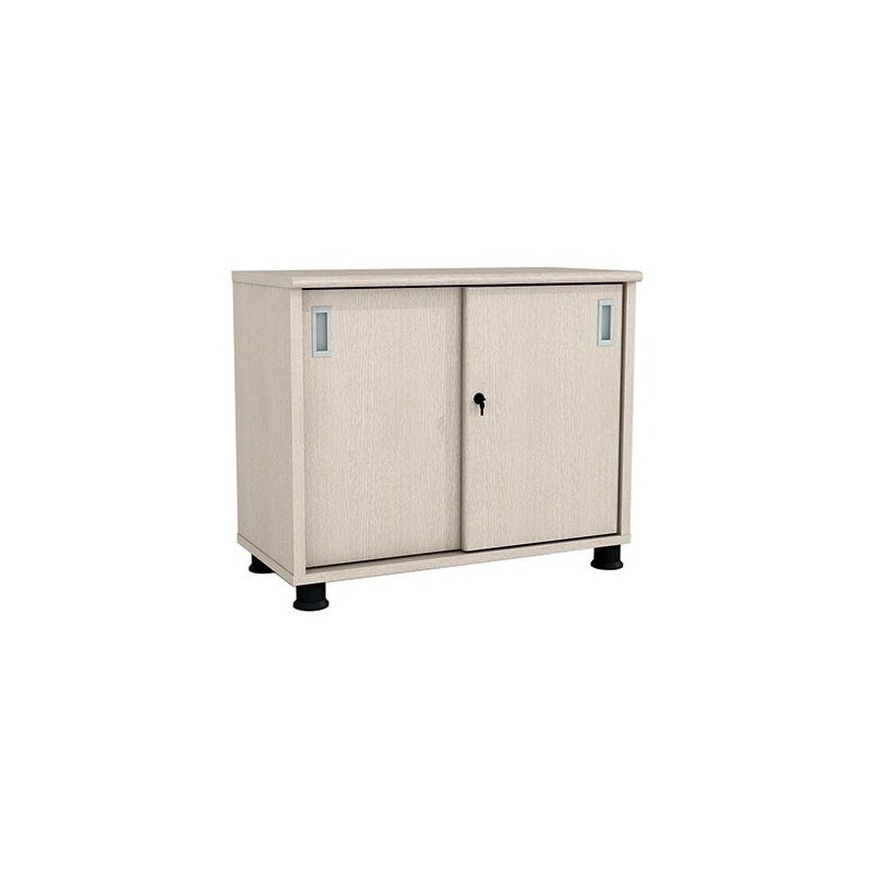 Low Office Cabinet SM6520H | Versatile Storage Solution