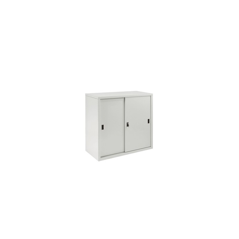 Robust Steel Cabinet TL02 | Long-Lasting Office Storage