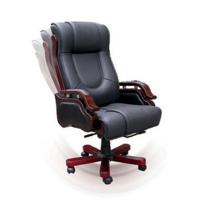 Leather Chair TQ01