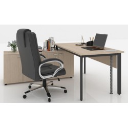 Working Desk BLD24 | High Functionality & Style