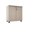 Low Cabinet Sm6220