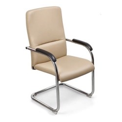 Office Chair GQ236 | Modern Aesthetics & Comfort