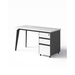 Working Desk 1910B14H5 | Spacious & Productive