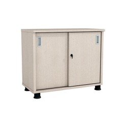 Low Office Cabinet SM6520H | Versatile Storage Solution